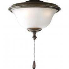 Progress Lighting P2636-20WB - AirPro Collection Two-Light Indoor/Outdoor Ceiling Fan Light