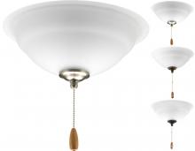 Progress Lighting P2645-01WB - Torino Collection Two-Light Ceiling Fan Light