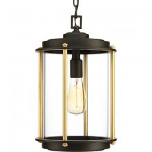 Progress Lighting P550022-129 - Laine Hanging Lantern