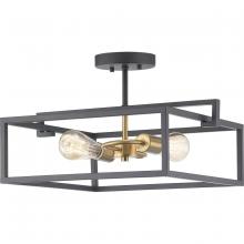 Progress Lighting P350120-143 - Blakely Collection Two-Light Semi-Flush Convertible