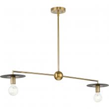 Progress Lighting P400336-109 - Trimble Collection Two-Light Brushed Bronze Linear Chandelier