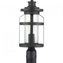 Progress Lighting P540031-031 - Haslett Collection One-Light Post Lantern