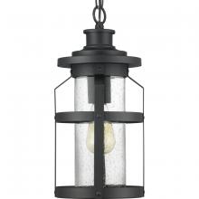 Progress Lighting P550031-031 - Haslett Collection One-Light Hanging Lantern