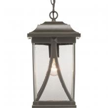 Progress Lighting P550040-020 - Abbott Collection One-Light Hanging Lantern