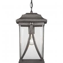 Progress Lighting P550040-103 - Abbott Collection One-Light Hanging Lantern