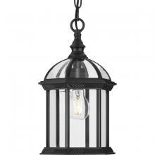 Progress Lighting P550122-031 - Dillard Collection One-Light Traditional Textured Black Clear Glass Outdoor Hanging Light