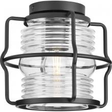 Progress Lighting P550133-31M - Keegan Collection One-Light Matte Black Clear Glass Coastal Outdoor Flush Mount Light