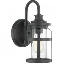 Progress Lighting P560094-031 - Haslett Collection One-Light Small Wall Lantern