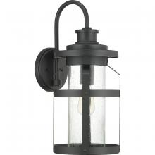 Progress Lighting P560096-031 - Haslett Collection One-Light Large Wall Lantern