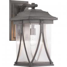 Progress Lighting P560115-103 - Abbott Collection One-Light Large Wall Lantern