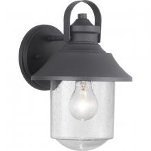 Progress Lighting P560120-031 - Weldon Collection One-Light Medium Wall Lantern