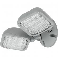 Progress Lighting PEWLH-DB-82 - Remote Metallic Grey Double Head for PE2WL