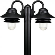 Progress Lighting P5493-31 - Newport Collection Non-Metallic Two-Light Post Lantern