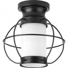 Progress Lighting P550016-031 - Haddon Collection One-light flush mount