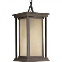 Progress Lighting P5500-20 - Endicott Collection One-Light Hanging Lantern