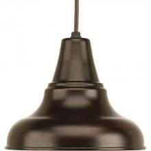 Progress Lighting P5535-20 - District Collection One-Light Medium Hanging Lantern