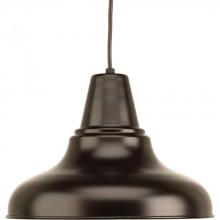 Progress Lighting P5551-20 - District Collection One-Light Large Hanging Lantern