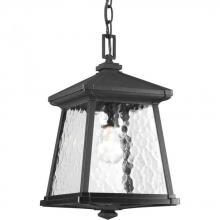 Progress Lighting P5559-31 - Mac Collection One-Light Hanging Lantern