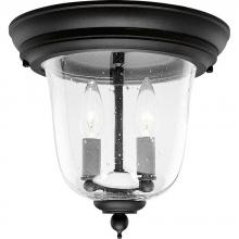 Progress Lighting P5562-31 - Ashmore Collection Two-Light 10-1/2" Close-to-Ceiling