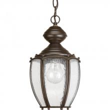 Progress Lighting P5565-20 - Roman Coach Collection One-Light Hanging Lantern