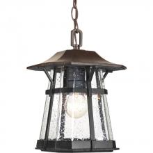 Progress Lighting P5579-84 - Derby Collection One-Light Hanging Lantern