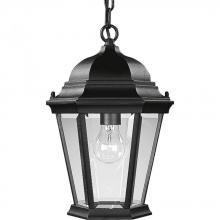 Progress Lighting P5582-31 - Welbourne Collection One-Light Hanging Lantern