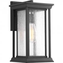 Progress Lighting P5610-31 - Endicott Collection One-Light Medium Wall Lantern