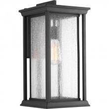 Progress Lighting P5613-31 - Endicott Collection One-Light Extra-Large Wall Lantern