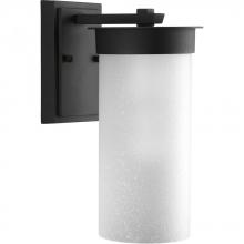 Progress Lighting P5625-31 - Hawthorne Collection One-Light Medium Wall Lantern