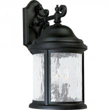 Progress Lighting P5650-31 - Ashmore Collection Three-Light Wall Lantern