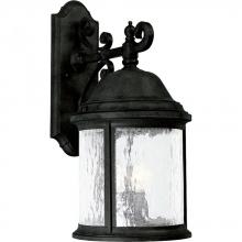 Progress Lighting P5651-31 - Ashmore Collection Three-Light Wall Lantern