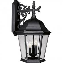 Progress Lighting P5690-31 - Welbourne Three-Light Wall Lantern