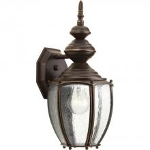 Progress Lighting P5765-20 - Roman Coach One-Light Medium Wall Lantern