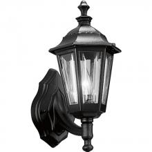 Progress Lighting P5826-31 - Cast Lantern One-Light Wall Lantern