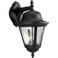 Progress Lighting P5864-31 - Westport Collection Two-Light Large Wall Lantern