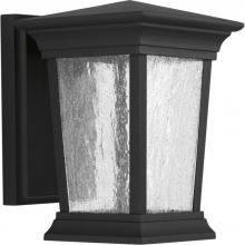 Progress Lighting P6067-3130K9 - Arrive Collection One-Light Small Wall Lantern