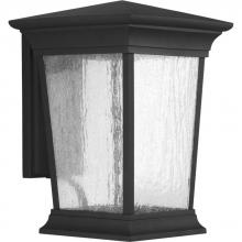 Progress Lighting P6069-3130K9 - Arrive Collection One-Light Large Wall Lantern