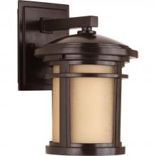 Progress Lighting P6084-20 - Wish Collection One-Light Small Wall Lantern