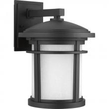 Progress Lighting P6085-3130K9 - Wish Collection One-Light Medium LED Wall Lantern