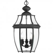 Progress Lighting P6533-31 - New Haven Collection Three-Light Hanging Lantern