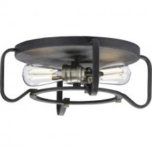 Progress Lighting P350116-071 - Foster Collection 16" Two-Light Flush Mount