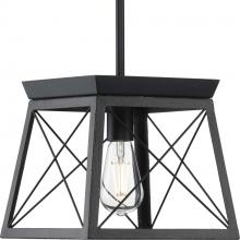 Progress Lighting P500041-031 - Briarwood Collection One-Light Textured and Cerused Black Farmhouse Style Hanging Mini-Pendant Light