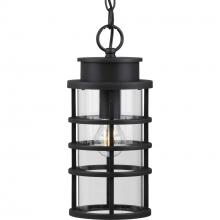 Progress Lighting P550061-031 - Port Royal Collection One-Light Hanging Lantern with DURASHIELD