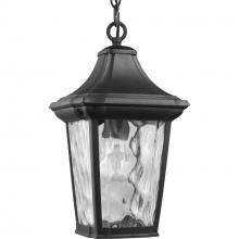 Progress Lighting P550062-031 - Marquette Collection One-Light Hanging Lantern with DURASHIELD