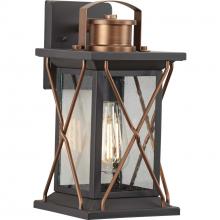 Progress Lighting P560156-020 - Barlowe Collection Antique Bronze One-Light Small Wall Lantern