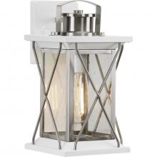 Progress Lighting P560156-135 - Barlowe Collection Stainless Steel One-Light Small Wall Lantern