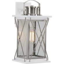 Progress Lighting P560157-135 - Barlowe Collection Stainless Steel One-Light Medium Wall Lantern