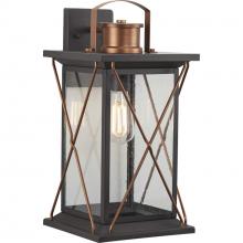 Progress Lighting P560158-020 - Barlowe Collection Antique Bronze One-Light Large Wall Lantern