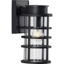 Progress Lighting P560168-031 - Port Royal Collection One-Light Small Wall Lantern with DURASHIELD