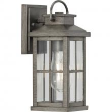 Progress Lighting P560264-103 - Williamston Collection One-Light Antique Pewter and Clear Glass Transitional Style Small Outdoor Wal